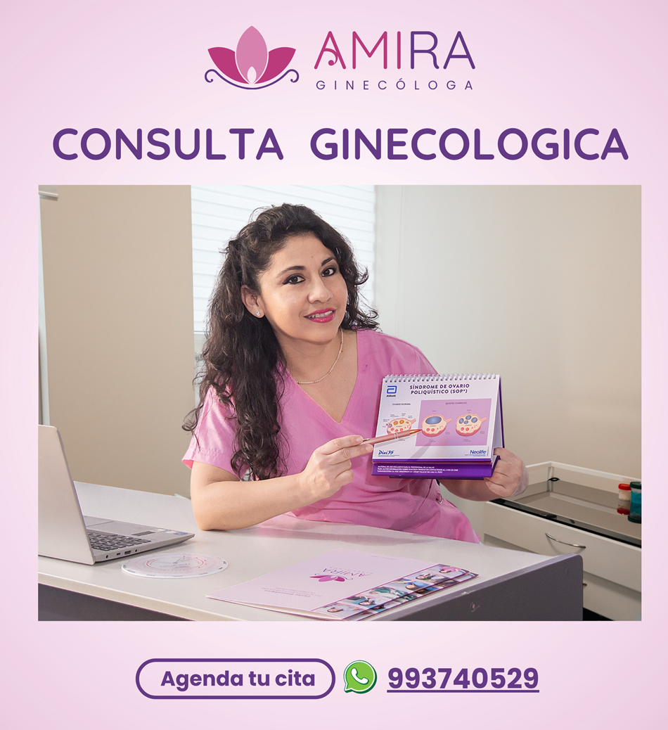 Amira Ginecologa Obstetra - Consulta Ginecologica