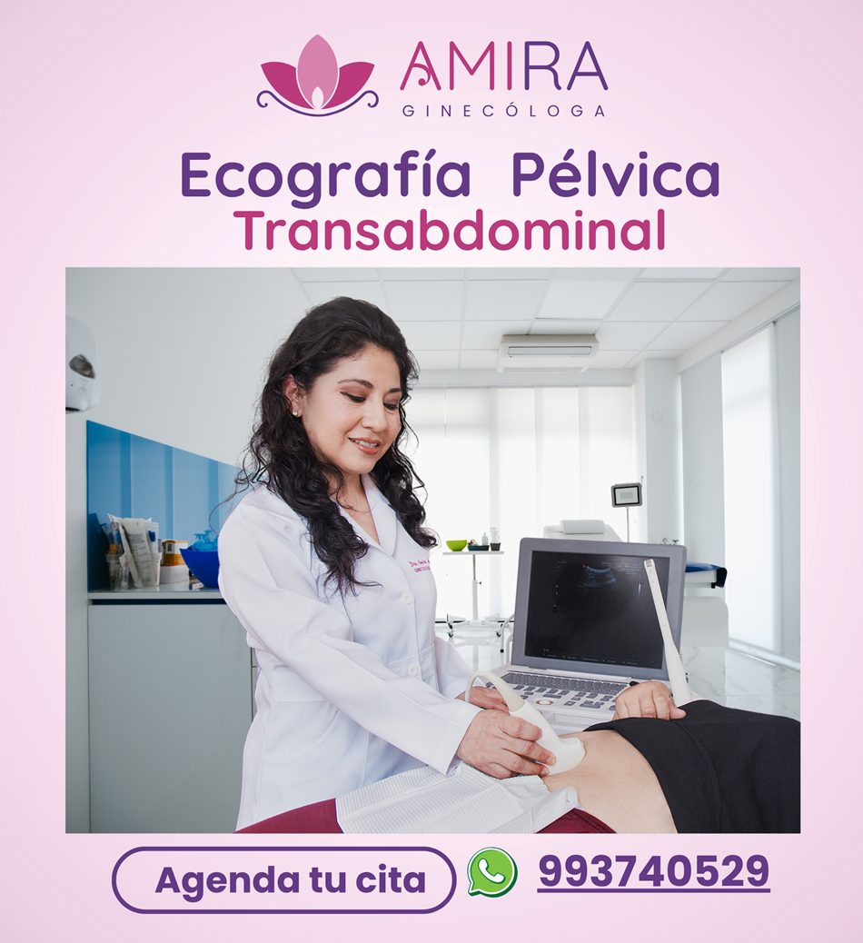 Amira Ginecologa Obstetra - Ecografía Pélvica