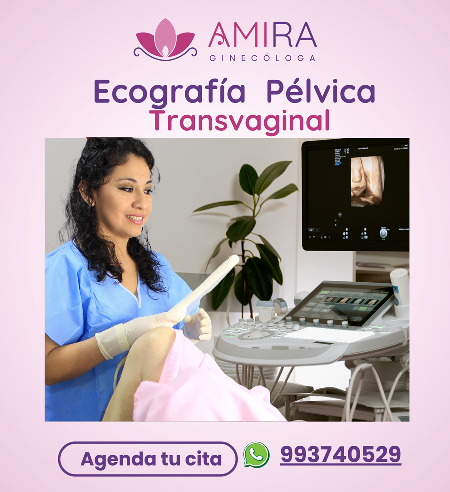 Amira Ginecologa Obstetra - Ecografía Transvaginal