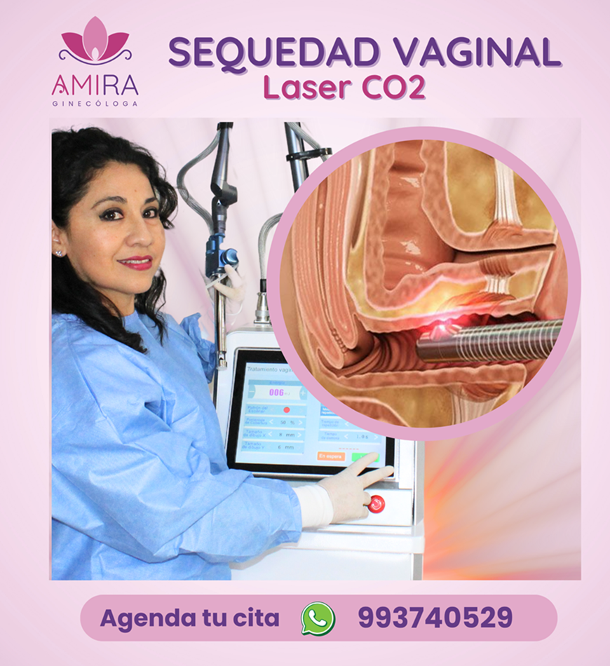 Amira Ginecologa Obstetra - SEQUEDAD  VAGINAL